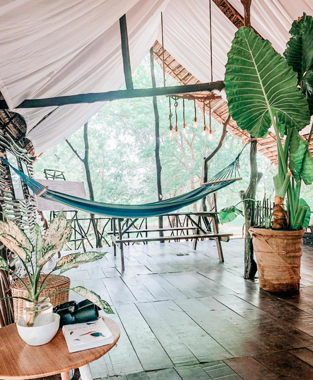 فندق Camp Leopard - Yala Safari Glamping المظهر الخارجي الصورة