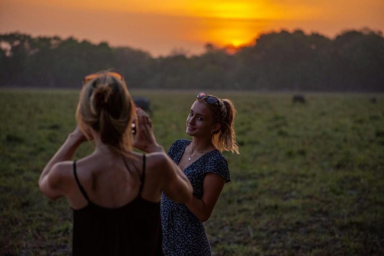 فندق Camp Leopard - Yala Safari Glamping المظهر الخارجي الصورة