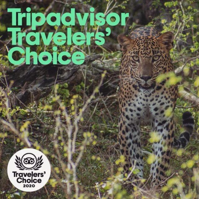 فندق Camp Leopard - Yala Safari Glamping المظهر الخارجي الصورة