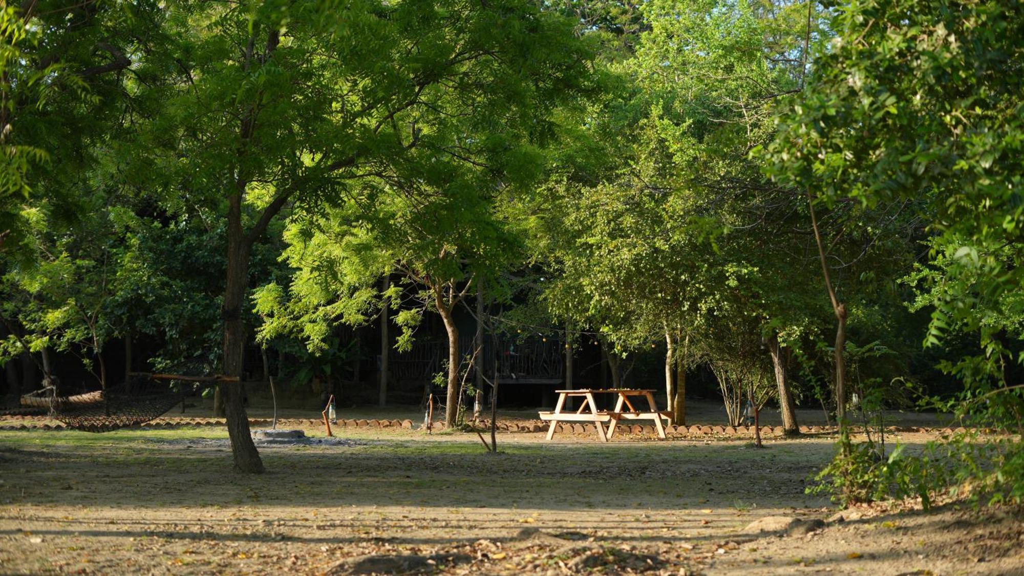فندق Camp Leopard - Yala Safari Glamping المظهر الخارجي الصورة