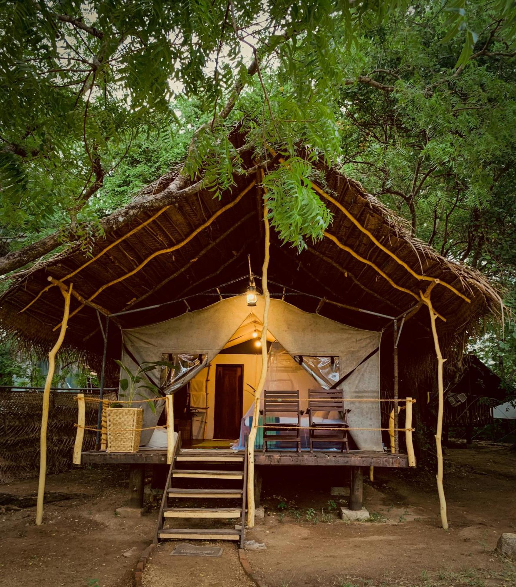 فندق Camp Leopard - Yala Safari Glamping المظهر الخارجي الصورة